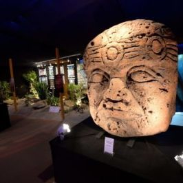 Exposition événement – Fiesta Latina